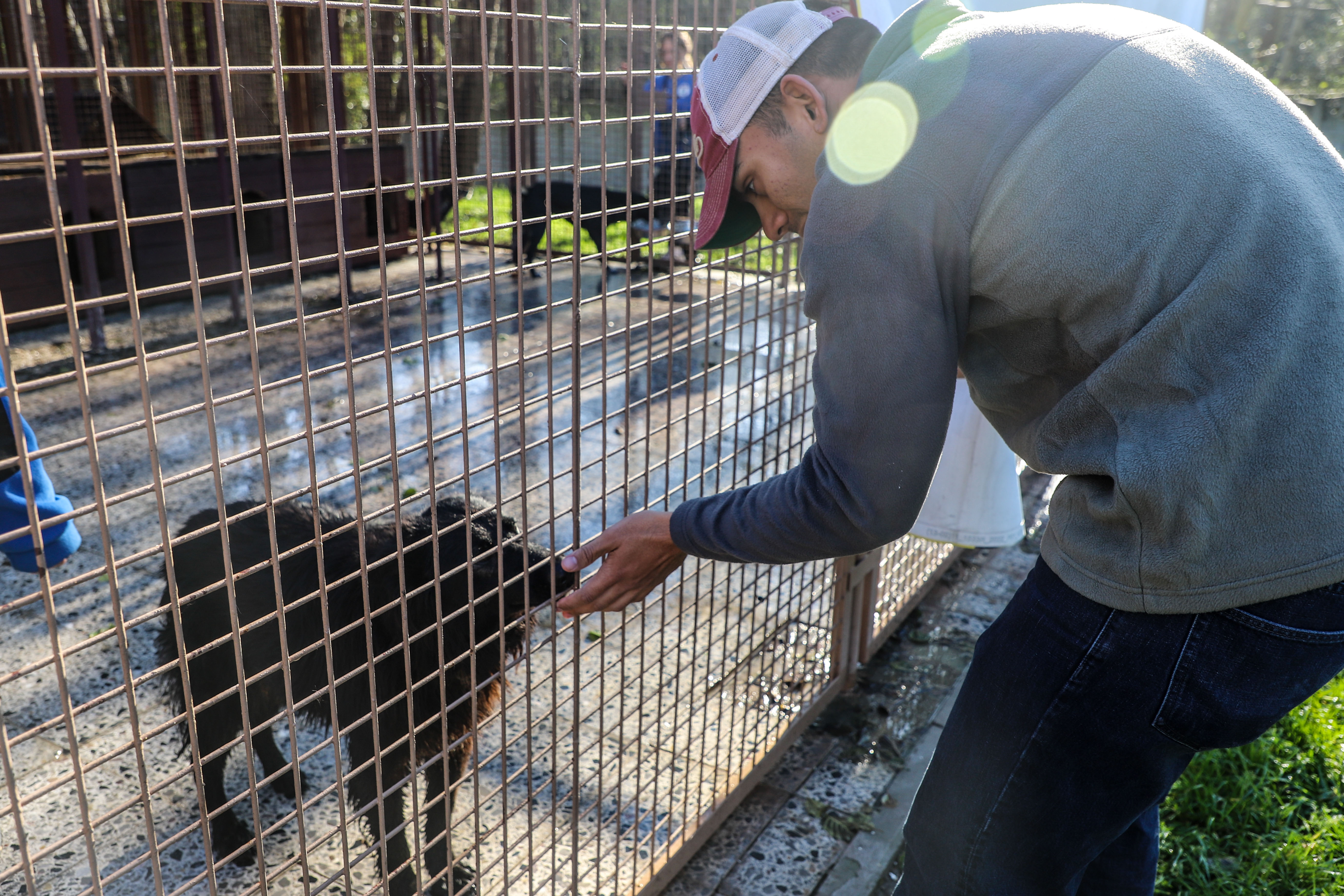 Volunteers supporting an animal shelter with practical care