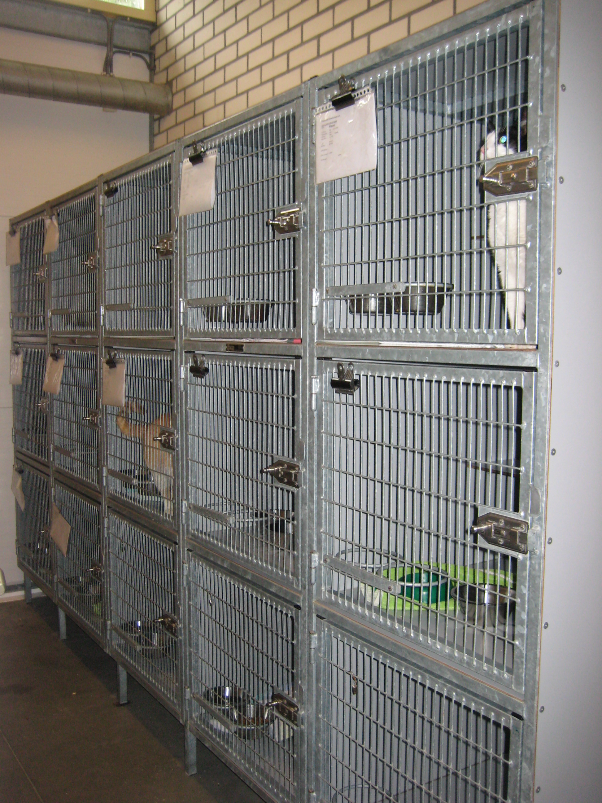 Animal shelter supplies and a neat care area